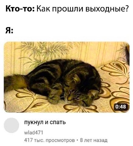 Кто-то: Как прошли выходные? Я: 2 у пукнул и спать wlad471 417 тыс. просмотров 8 лет назад