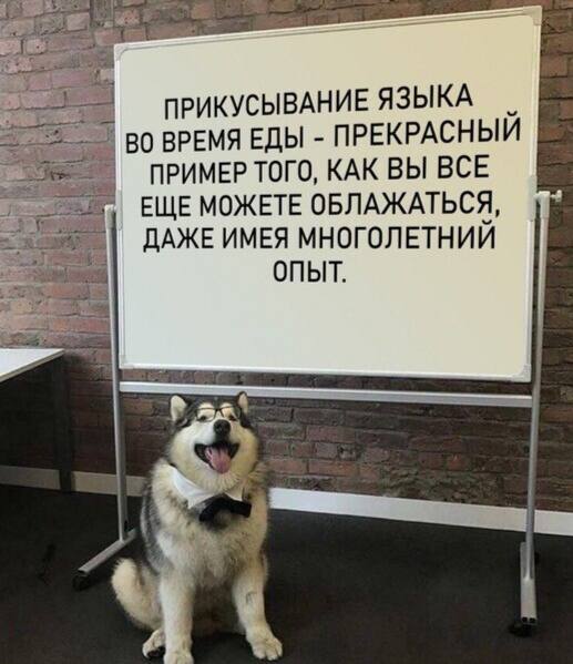 ПРИКУСЫВАНИЕ ЯЗЫКА ВО ВРЕМЯ ЕДЫ ПРЕКРАСНЫЙ ПРИМЕР ТОГО, КАК ВЫ ВСЕ ЕЩЕ МОЖЕТЕ ОБЛАЖАТЬСЯ, ДАЖЕ ИМЕЯ МНОГОЛЕТНИЙ ОПЫТ.
