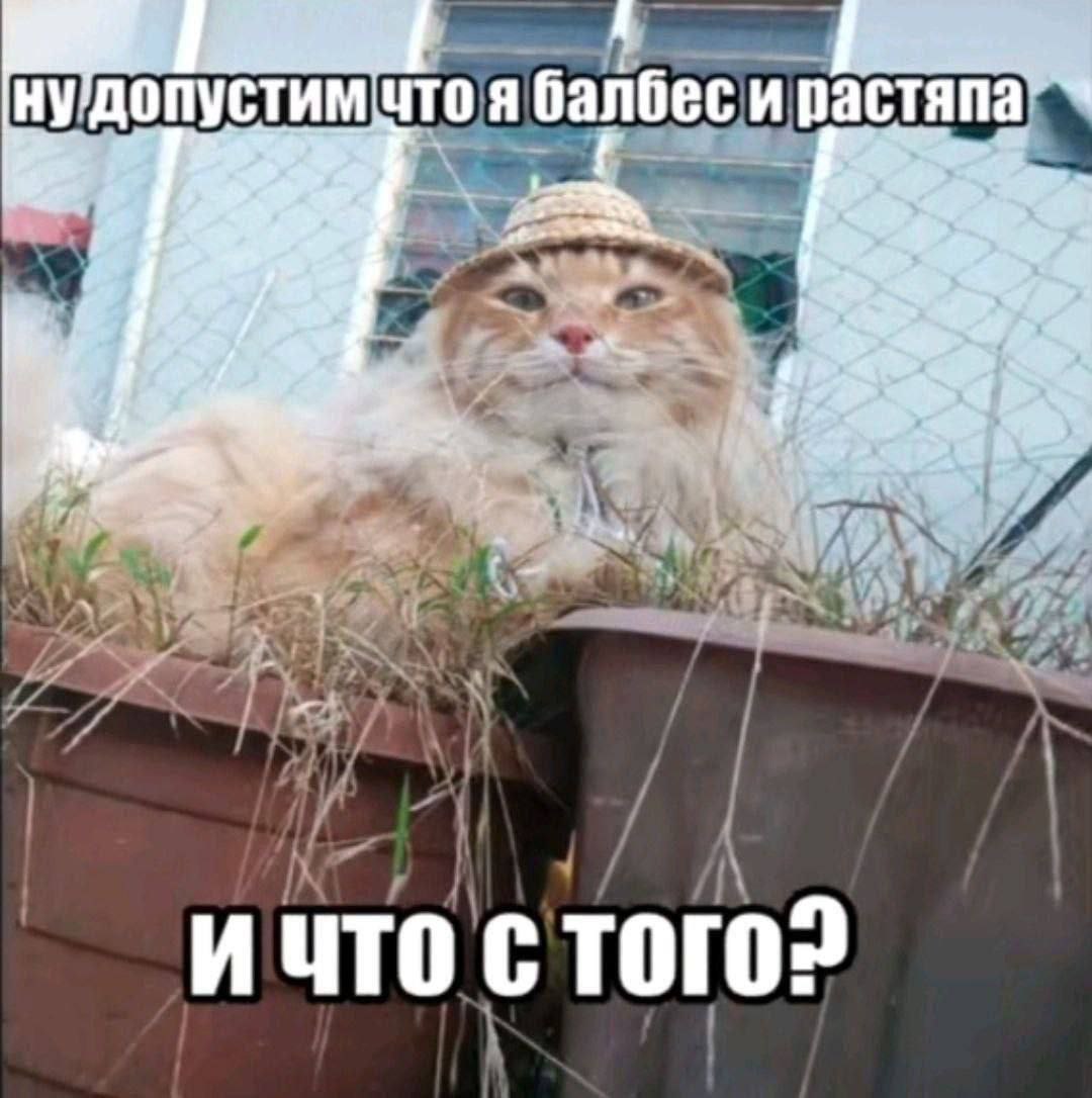 у ЧТО Я балбес И ИЧТО