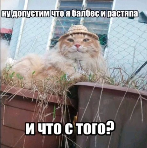 у ЧТО Я балбес И ИЧТО