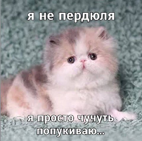 я не пердюля