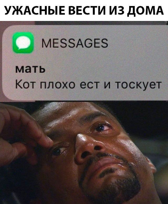 УЖАСНЫЕ ВЕСТИ ИЗ ДОМА MESSAGES мать Кот плохо ест и тоскует