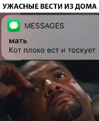 УЖАСНЫЕ ВЕСТИ ИЗ ДОМА MESSAGES мать Кот плохо ест и тоскует