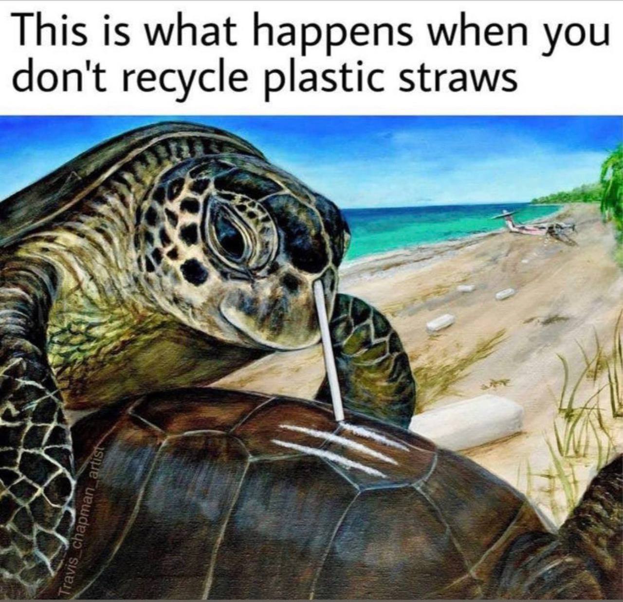 This is what happens when you don't recycle plastic straws