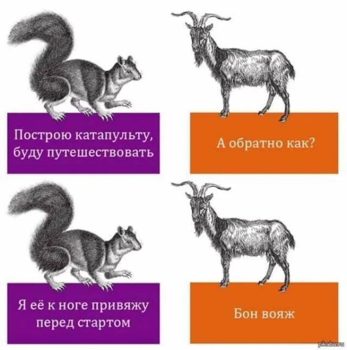 Я Построю катапульту, А обратно Kak? буду путешествовать Я её к ноге привяжу Бон вояж перед стартом