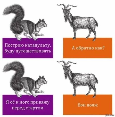 Я Построю катапульту, А обратно Kak? буду путешествовать Я её к ноге привяжу Бон вояж перед стартом