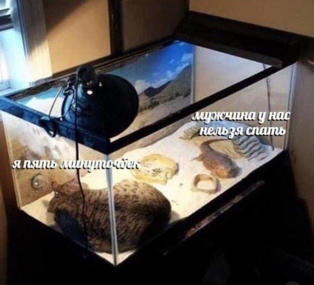 гм