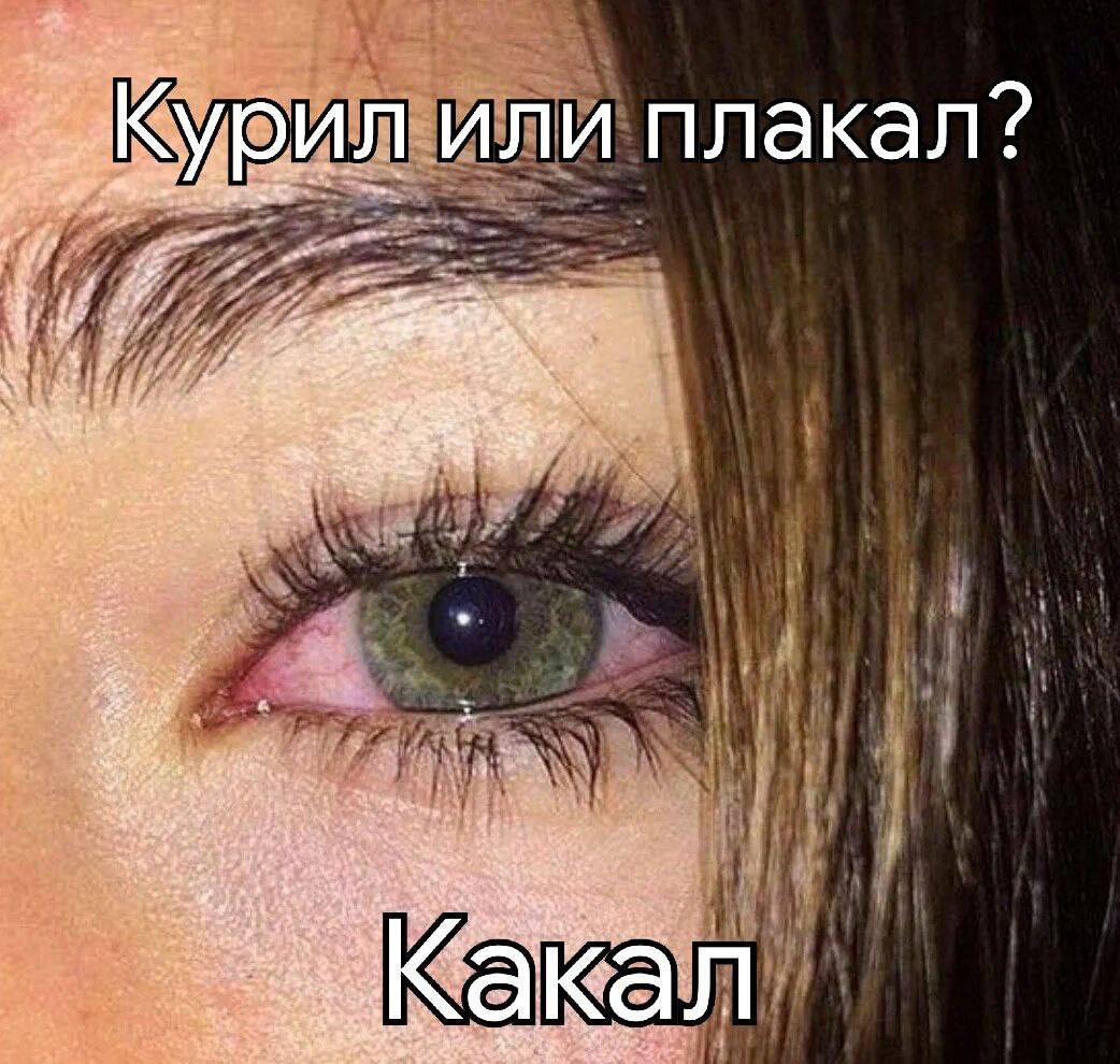 плакал? Кака