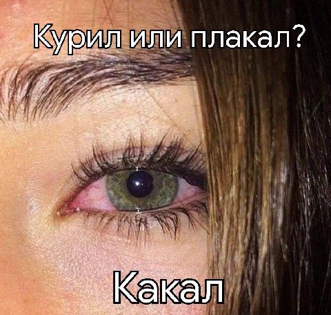 плакал? Кака