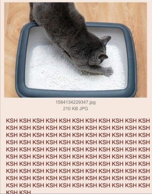 210 JPG KSH KSH KSH KSH KSH KSH KSH KSH KSH KSH KSH KSH KSH KSH KSH KSH KSH KSH KSH KSH KSH KSH KSH KSH KSH KSH KSH KSH KSH KSH KSH KSH KSH KSH KSH KSH KSH KSH KSH KSH KSH KSH KSH KSH KSH KSH KSH KSH 