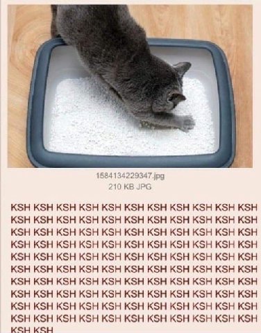 210 JPG KSH KSH KSH KSH KSH KSH KSH KSH KSH KSH KSH KSH KSH KSH KSH KSH KSH KSH KSH KSH KSH KSH KSH KSH KSH KSH KSH KSH KSH KSH KSH KSH KSH KSH KSH KSH KSH KSH KSH KSH KSH KSH KSH KSH KSH KSH KSH KSH 
