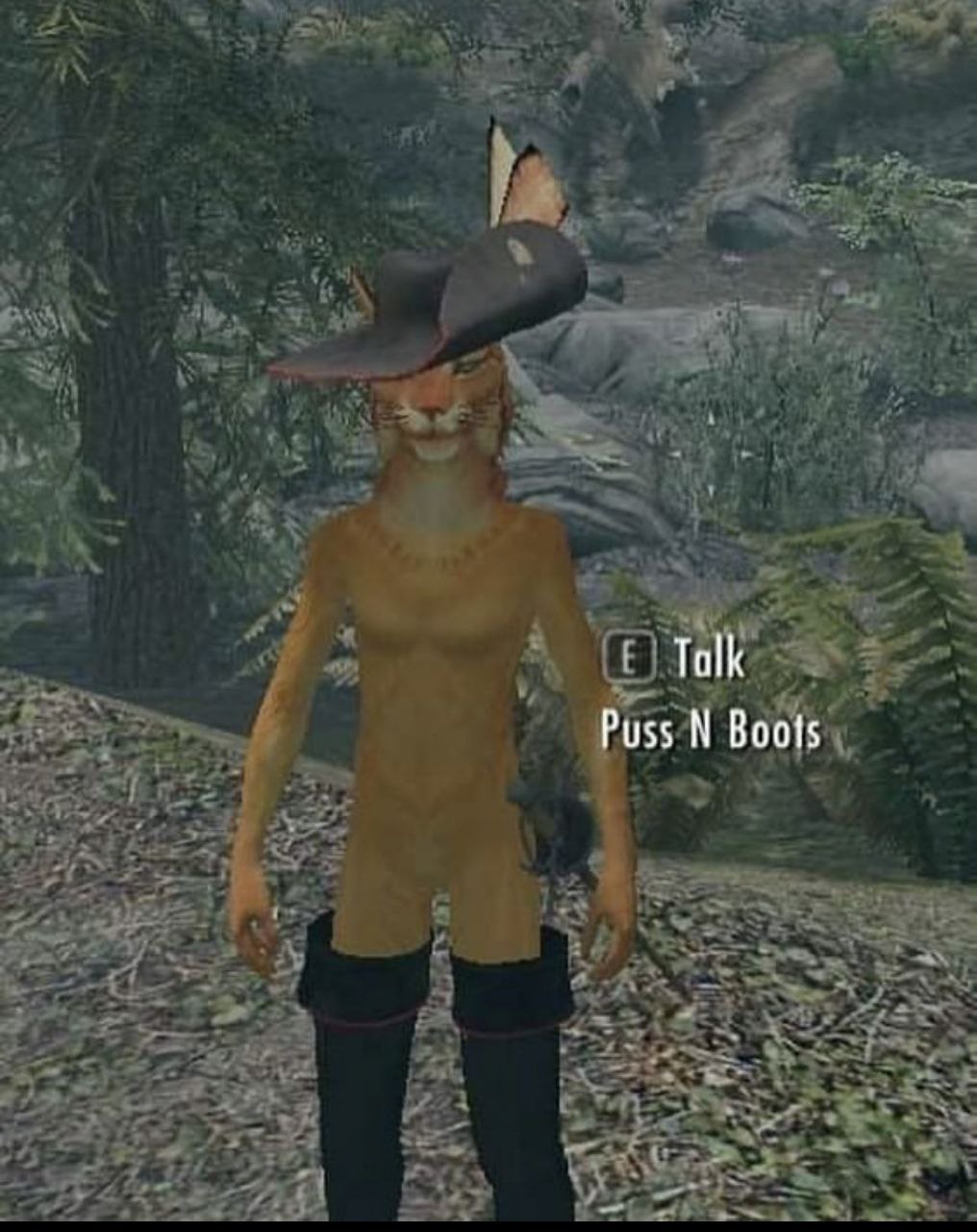 Talk Puss Boots