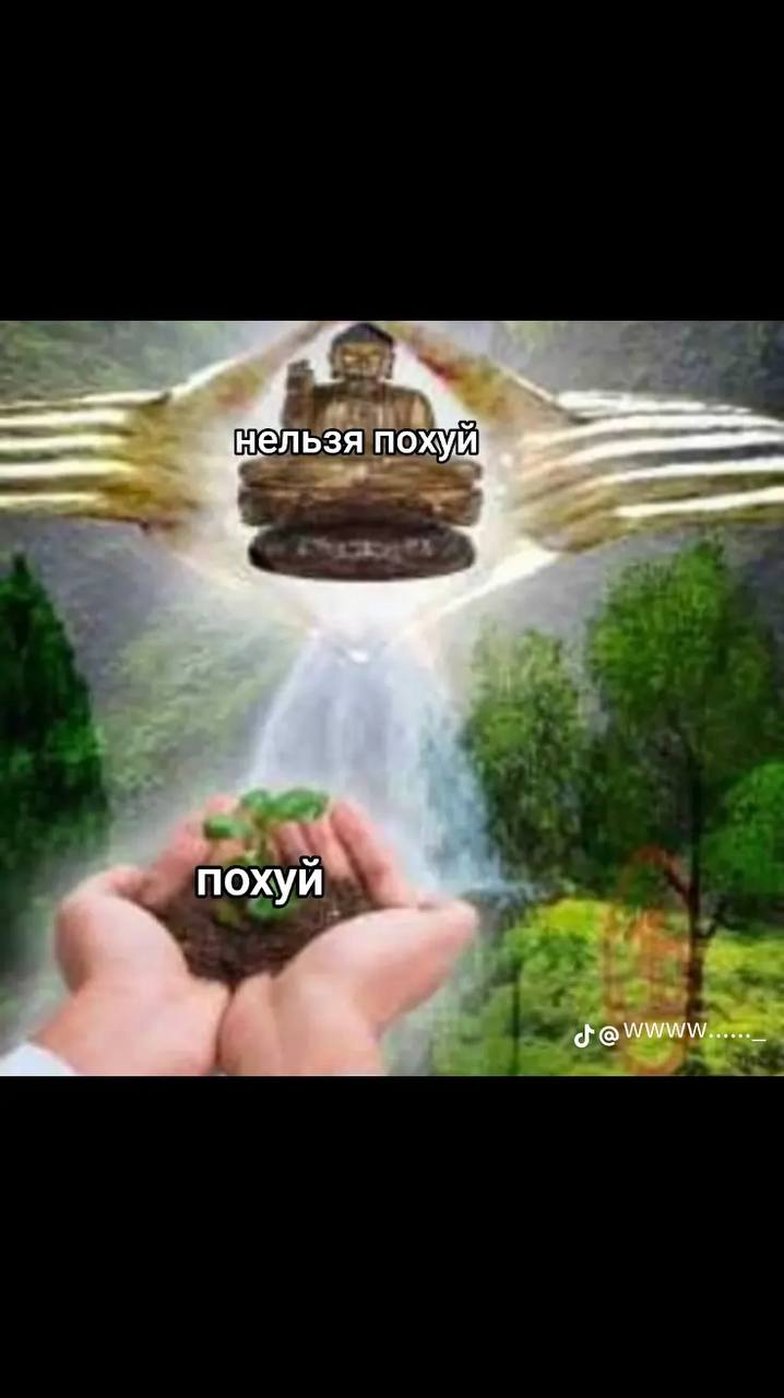 похуй похуй