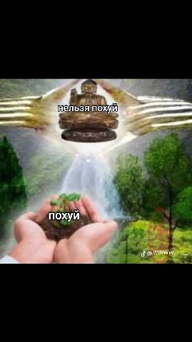 похуй похуй