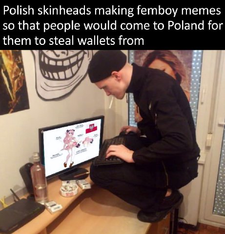 Polish skinheads making femboy memes so that people would come to Poland for them to steal wallets from
