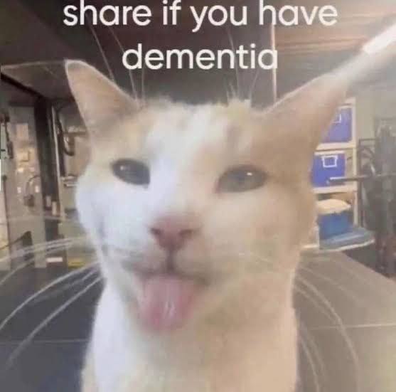 snare If you have dementid
