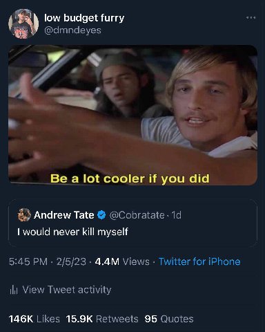 low budget furry У @dmndeyes 72 his Be a lot cooler if you did Andrew Tate @Cobratate would never kill myself 5:45 2/5/23 Views Twitter for iPhone Ни View Tweet activity Likes Retweets 95 Quotes