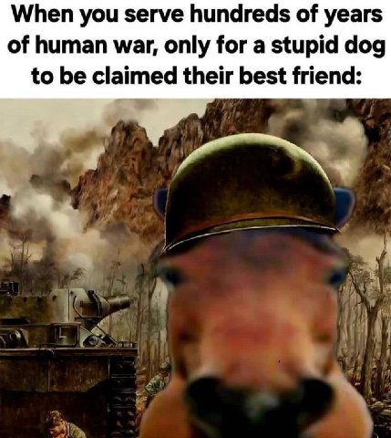 When you serve hundreds of years of human war, only for a stupid dog to be claimed their best friend: