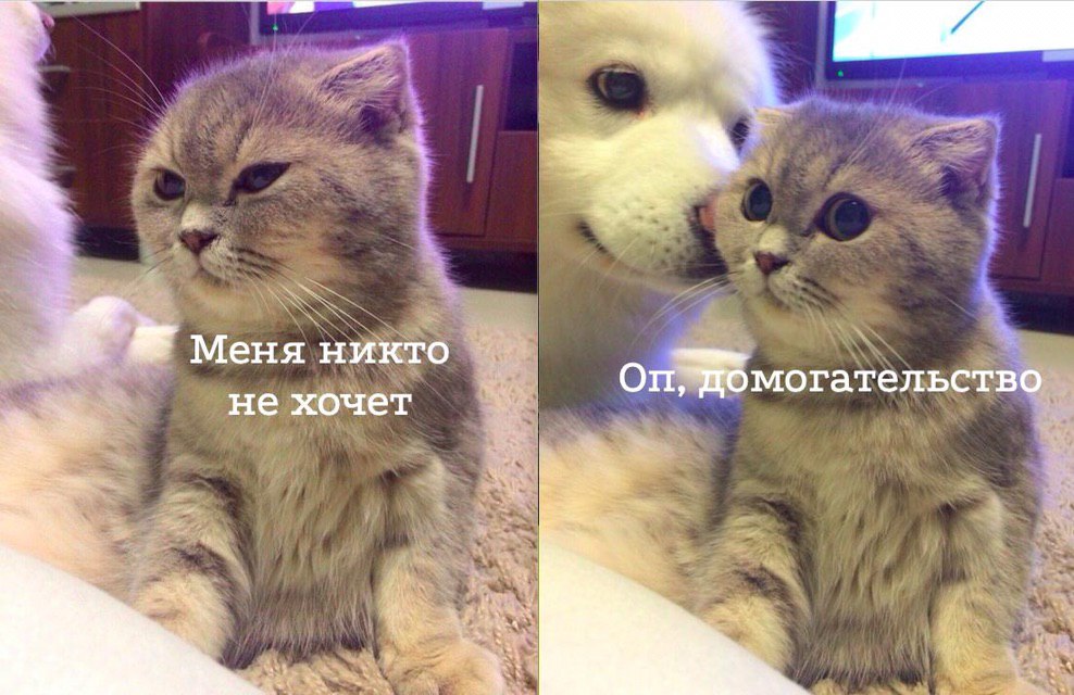 Меня никто могательство не хочет