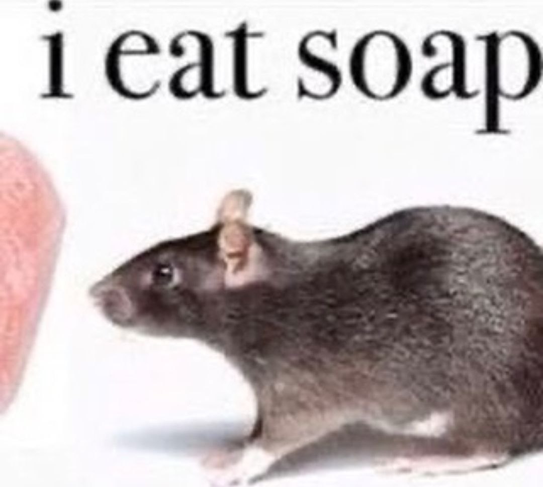1 eat Soap