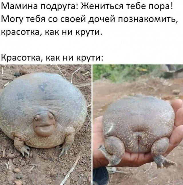 Мамина подруга: Жениться тебе пора! Могу тебя своей дочей познакомить, красотка, как ни крути. Красотка, как ни крути: 3 9 у, 4 1 a 4