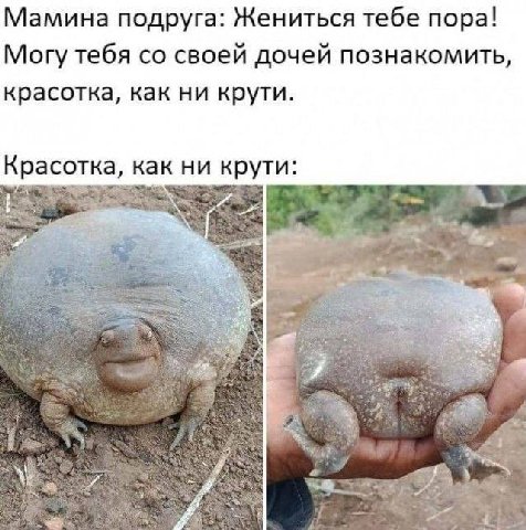 Мамина подруга: Жениться тебе пора! Могу тебя своей дочей познакомить, красотка, как ни крути. Красотка, как ни крути: 3 9 у, 4 1 a 4
