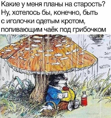 Какие у меня планы на старость? Ну, хотелось бы, конечно, быть с иголочки одетым кротом, попивающим чаёк под грибочком AS