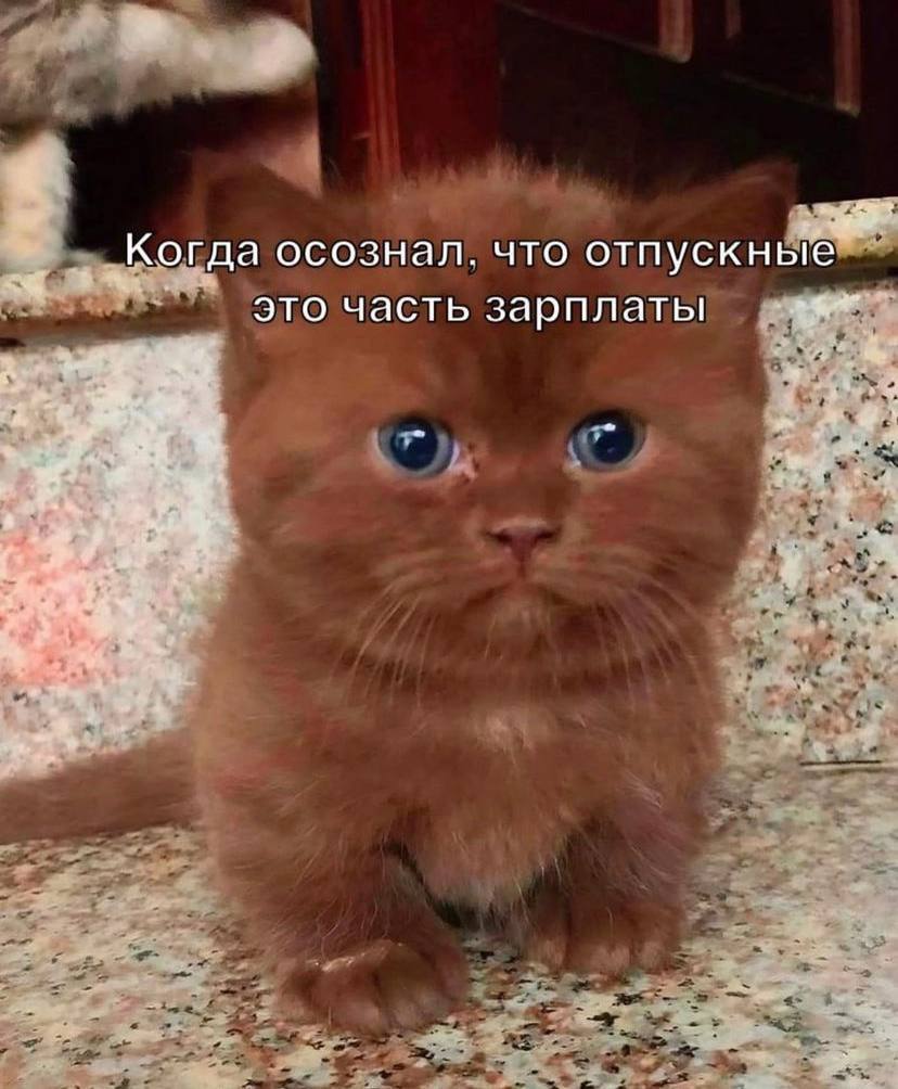 Когда осознал. что отпускные это часть зарплаты у 2.