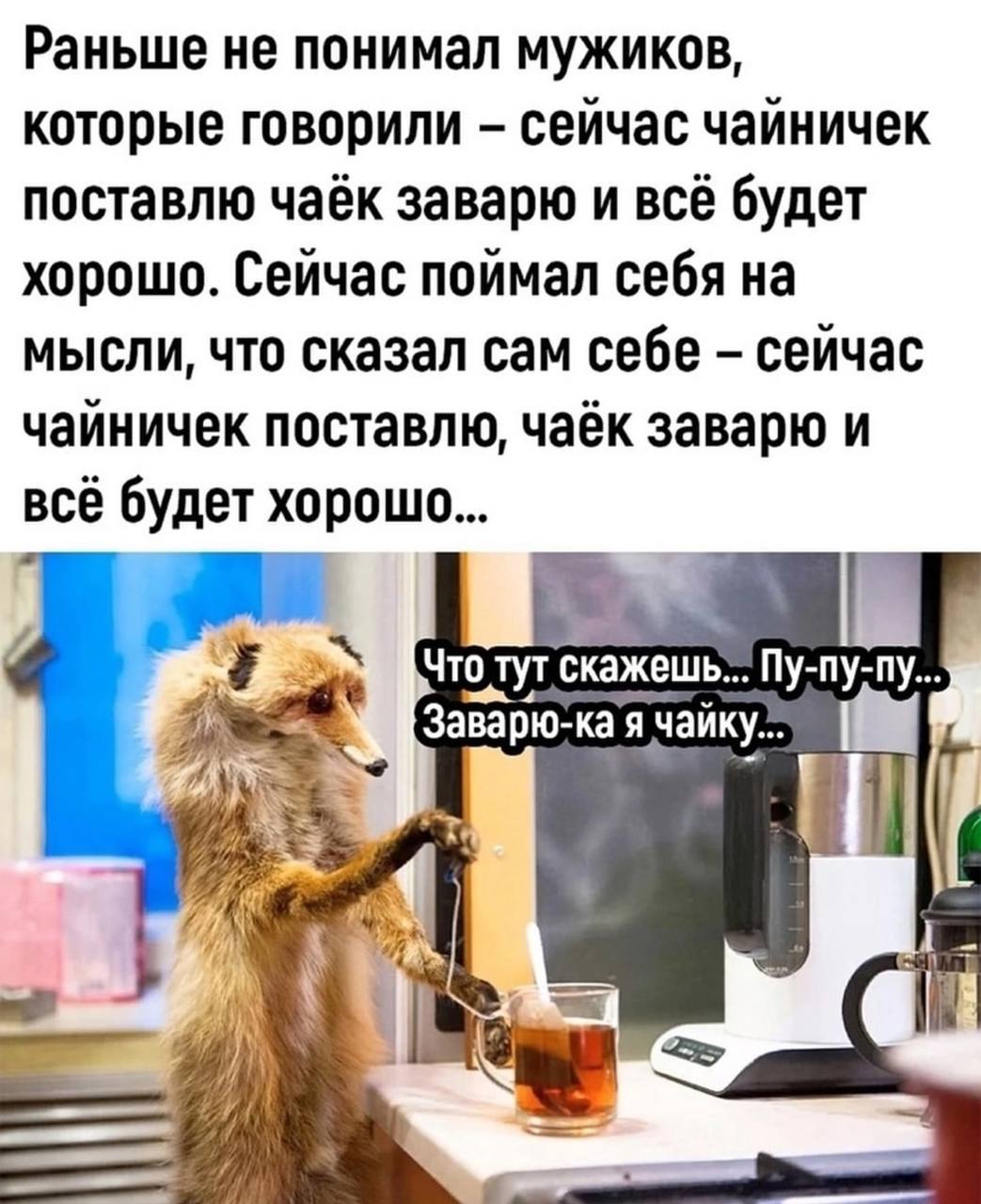 Раньше не понимал мужиков, которые говорили сейчас чайничек поставлю чаёк заварю и всё будет хорошо. Сейчас поймал себя на мысли, что сказал сам себе сейчас чайничек поставлю, чаёк заварю и всё будет 