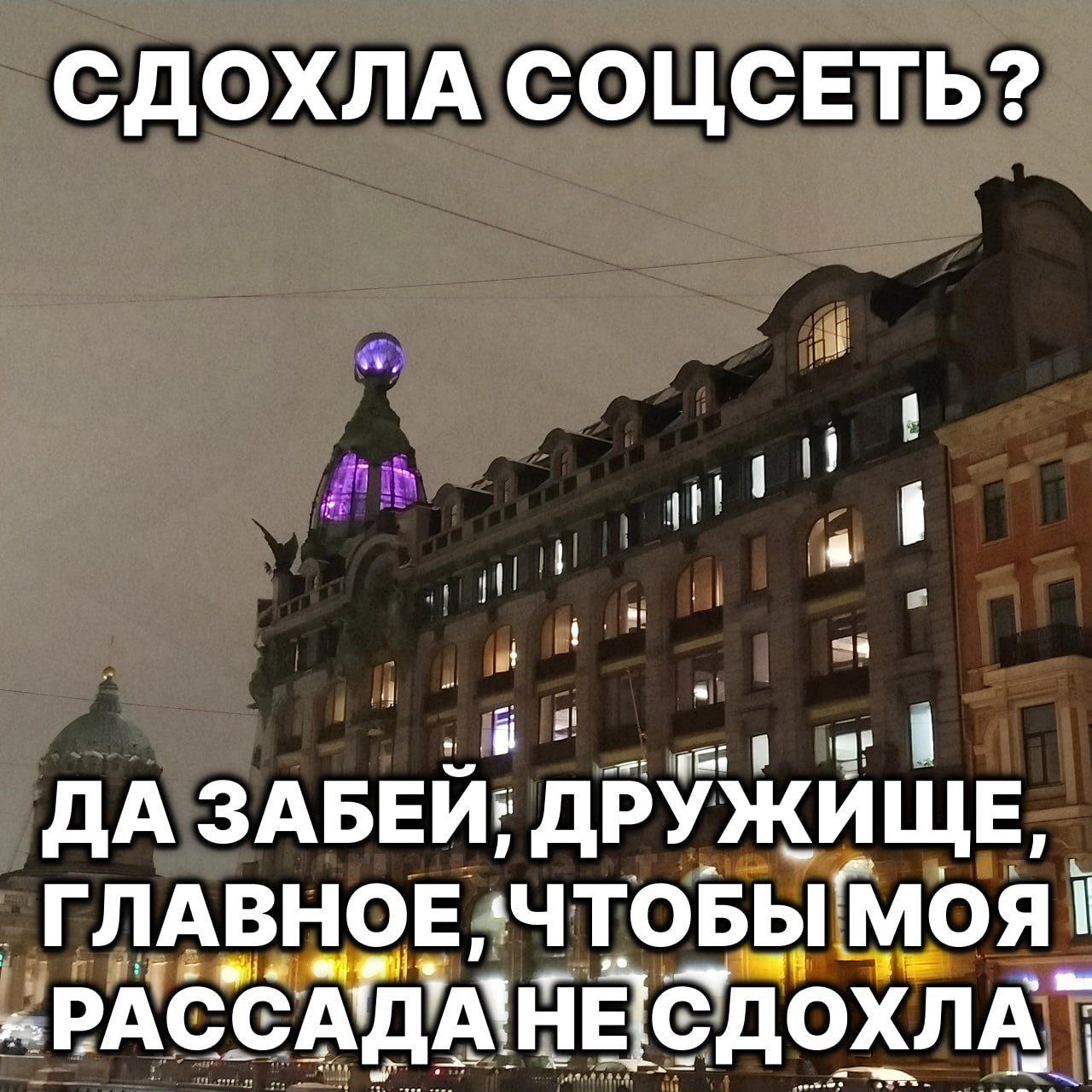 СДОХЛА СОЦСЕТЬ? я ДА ЗАБЕИ; ‚ДРУЖИ ГЛАВНОЕ „ЧТОБЫМОЯ -РАССАДАНЕСДОХЛА“