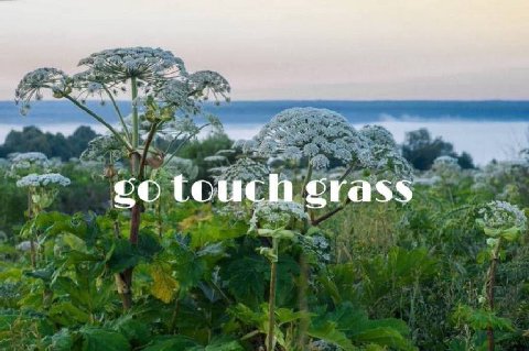 touch Crass