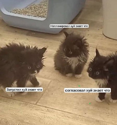 Запустил хуй знает что согласовал хуй знает что bey,