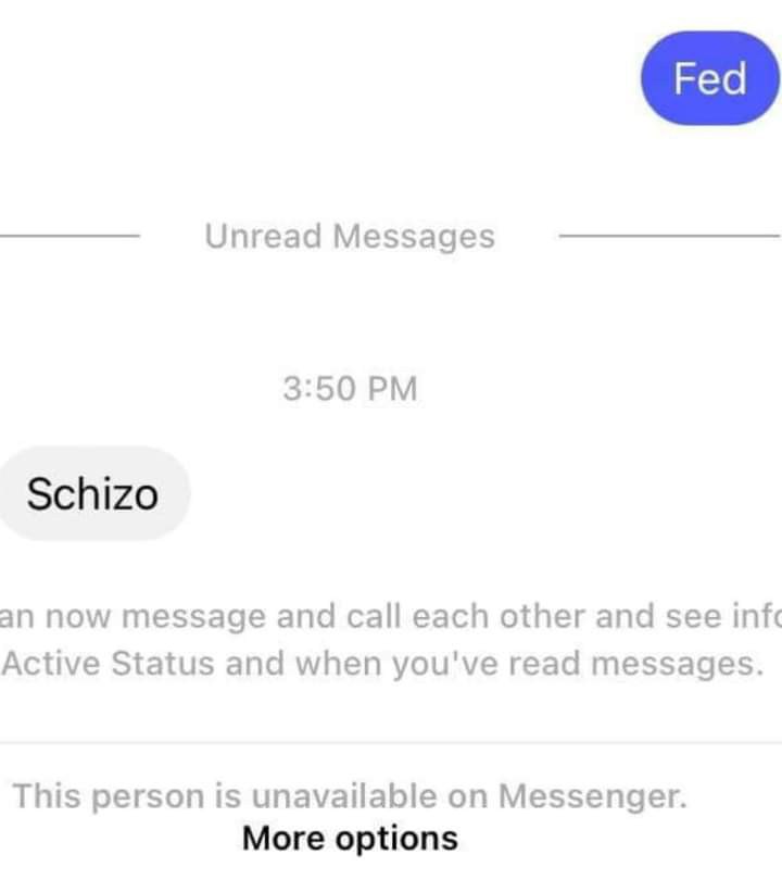 Unread Messages 3:50 Schizo an now message and call each other and see Active Status and when you've read messages. This person 1$ unavailable on Messenger. More options