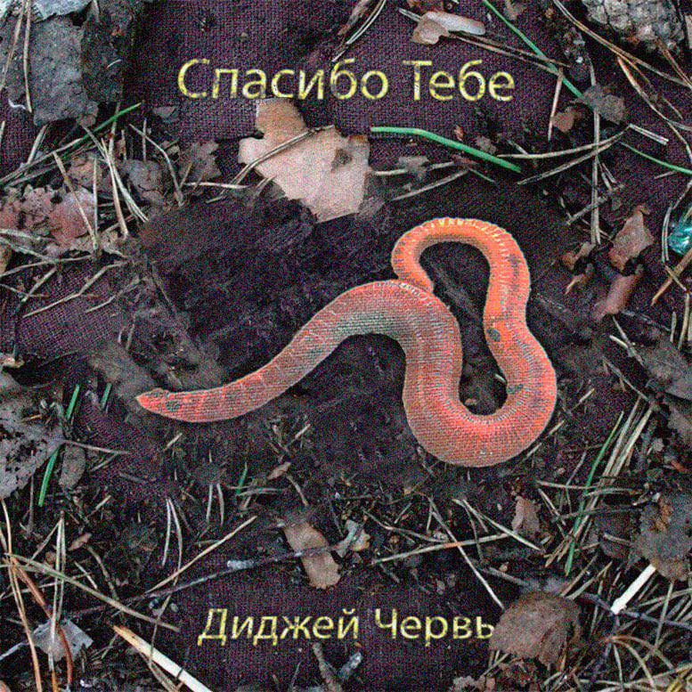 Тебе 3 AN червь
