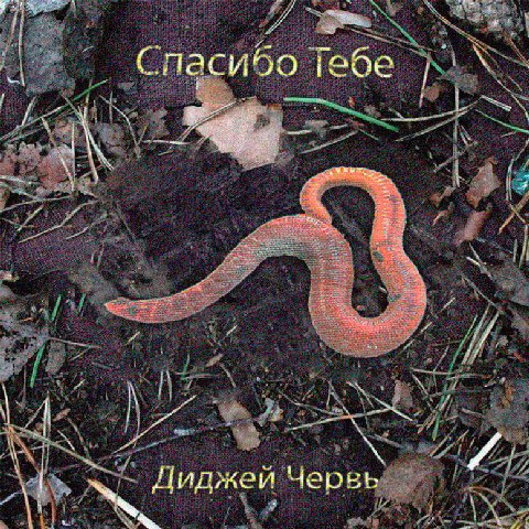 Тебе 3 AN червь