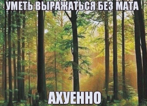 “УМЕТЬ: ВЫРАЖАТЬСЯ БЕЗ МАТ А к a 8 4 Sat 48 АХУЕННО