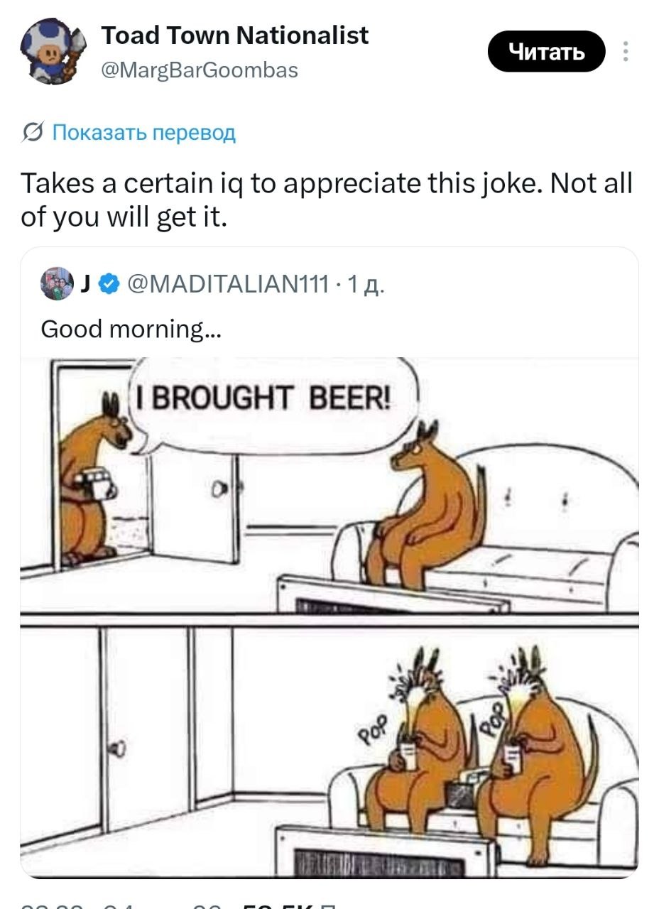 Toad Town Nationalist @MargBarGoombas Показать перевод Takes a certain to appreciate this joke. Not all of you will get it. 1 Good morning... BROUGHT BEER! a: О
