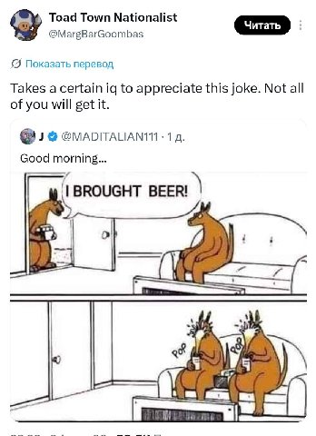 Toad Town Nationalist @MargBarGoombas Показать перевод Takes a certain to appreciate this joke. Not all of you will get it. 1 Good morning... BROUGHT BEER! a: О