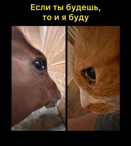 Если ты будешь, то иябуду