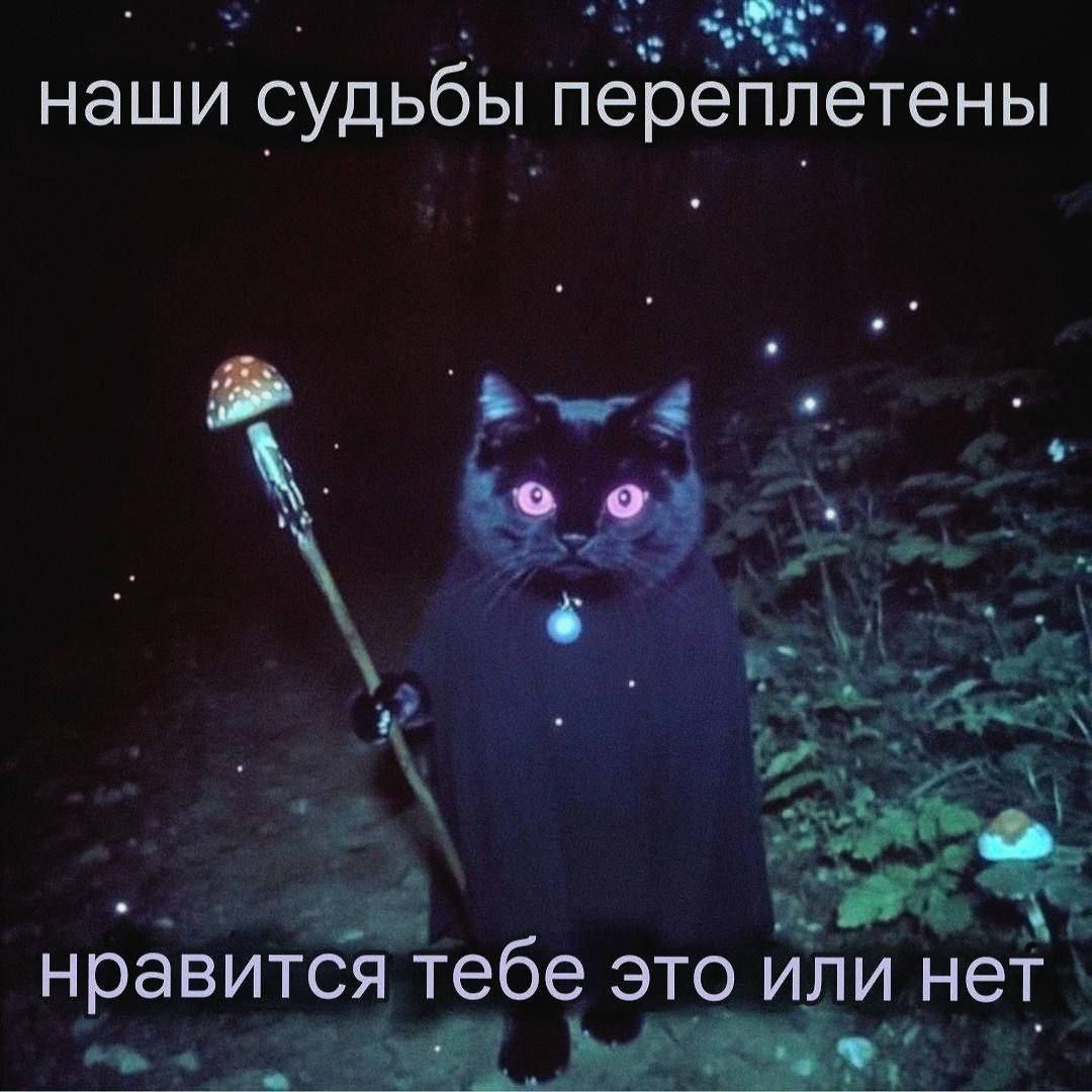 наши судьбы переплетены нравится тебе это или нет