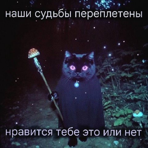 наши судьбы переплетены нравится тебе это или нет