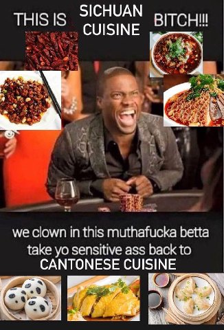 SICHUAN THIS IS CUISINE ВСН! we clown in this muthafucka betta take sensitive ass back to CANTONESE 24% UISINE 2%