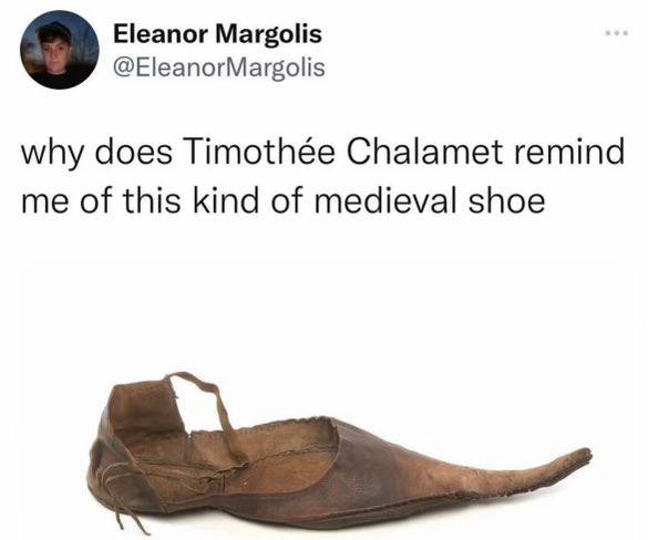 Eleanor Margolis @EleanorMargolis why does Timothée Chalamet remind me of this kind of medieval shoe