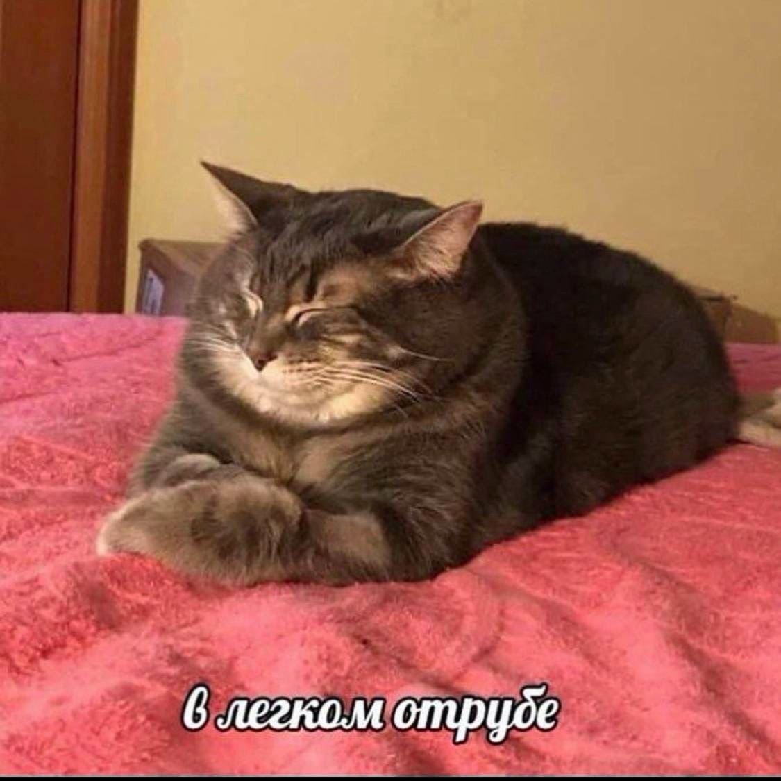 и 6 легком