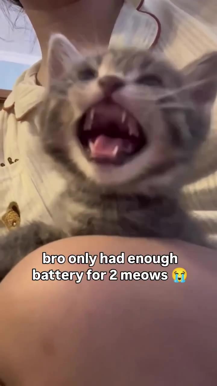 Бгоопупащепочай SMeatteryfor2meows 8 — battenyifom2imeows & battery for2)meows @& Borovonly had enough