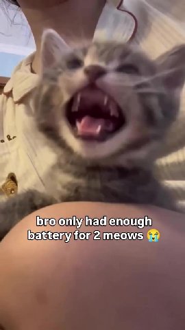 Бгоопупащепочай SMeatteryfor2meows 8 — battenyifom2imeows & battery for2)meows @& Borovonly had enough