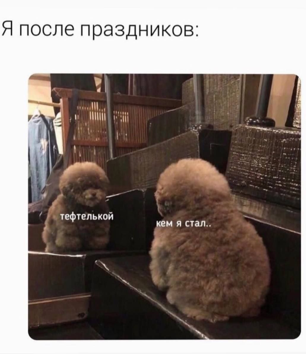 Я после праздников: тефтелькой кем я стал..