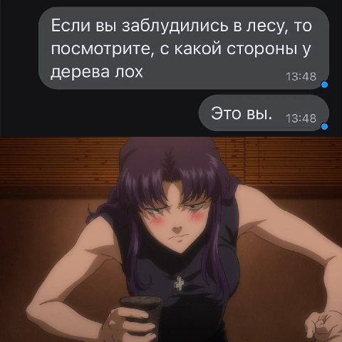 Если вы заблудились в лесу, то посмотрите, с какой стороны у дерева лох 13:48 Это вы. 13:48 о