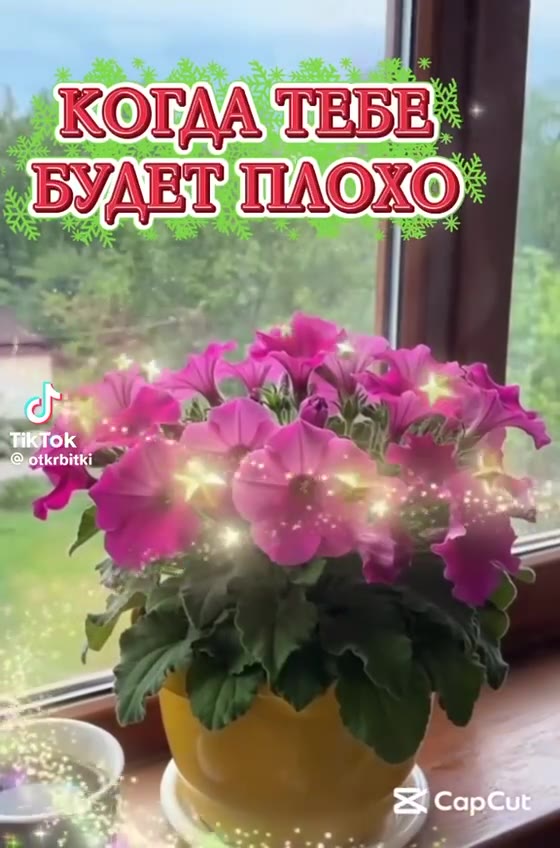 „ КОГАА ТЕБЕ. БУДЕТ NAOKO