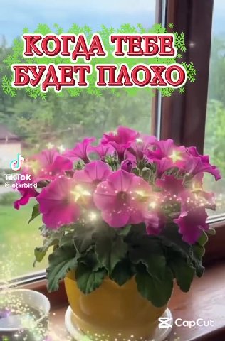 „ КОГАА ТЕБЕ. БУДЕТ NAOKO